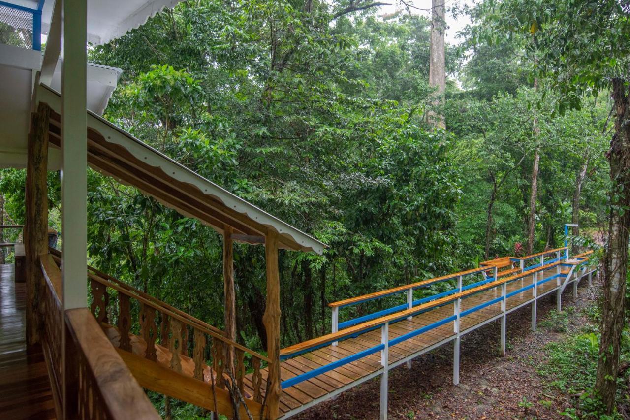 Blue Maverick Retreat - Secluded Nature Escape - 4Wd Access Required Cocles Exterior foto